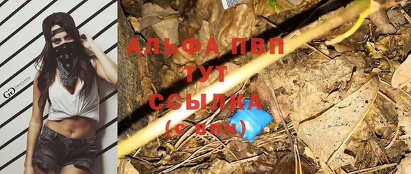 сатива Богородицк