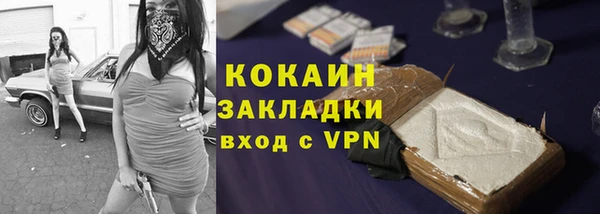 сатива Богородицк