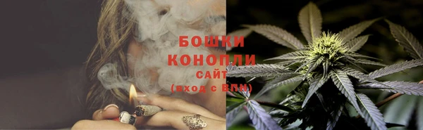 сатива Богородицк