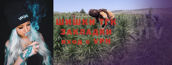 PSILOCYBIN Богородск
