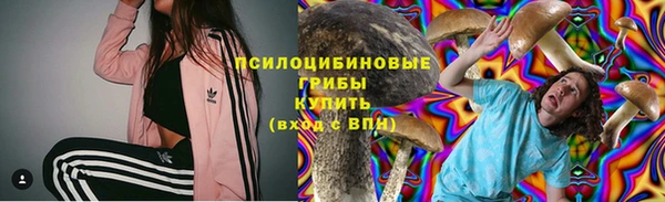 сатива Богородицк