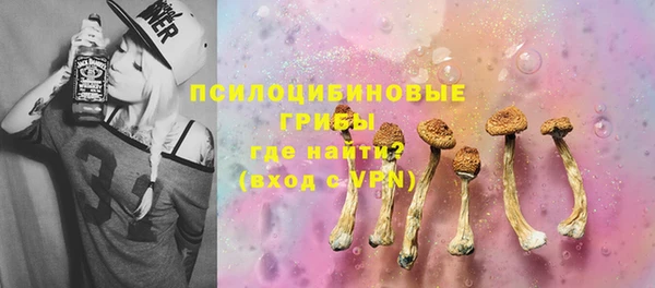 PSILOCYBIN Богородск