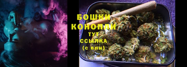 сатива Богородицк