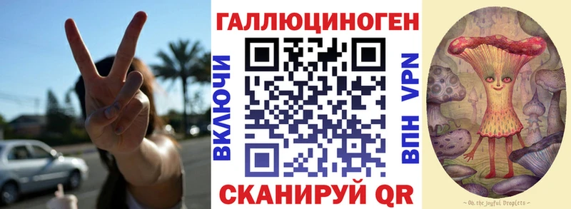 Галлюциногенные грибы Psilocybe  ссылка на мегу зеркало  Козьмодемьянск 